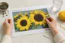 Sunflowers Side By Side