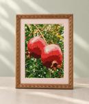 Pomegranates