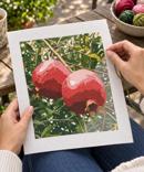 Pomegranates