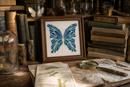 Butterfly Geometry Blues