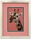 Giraffe Up Close