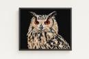 Owl Head