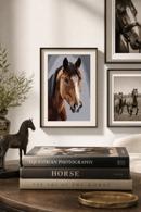 Horsie