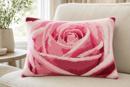 Inside A Rose
