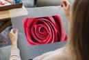 Inside A Rose 2