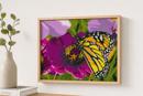 Butterfly Flower