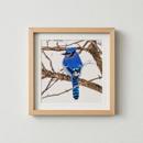 Bluejay In The Snow