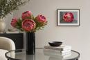 Protea Flower