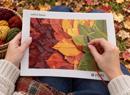 Ombre Leaves