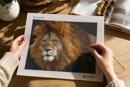 Lion Up Close