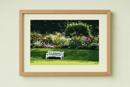 Bench In Garden