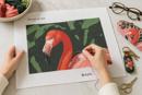 Flamingo Up Close