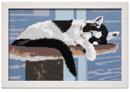 Cat Nap 2