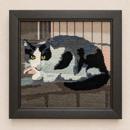 Cat On Fence