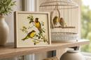 Red Headed Bunting