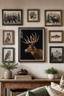 Reindeer