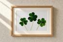 Clovers