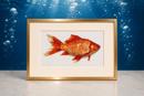 Goldfish