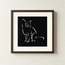 Black Cat On Black