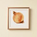 Onion