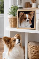 Papillon Dog