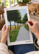 Path