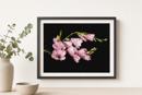 Pink Flower Buds