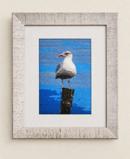 Seagull Post