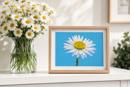 Lonely Daisy