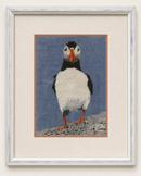 Puffin