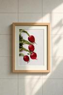 Radishes