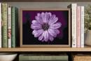 I Love Purple Flower