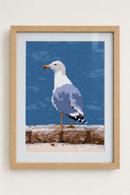 Seagull Watch
