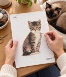 Kitty