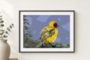 Southern Masked Weaver