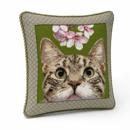 Cat In Spring