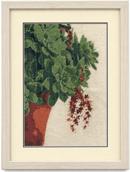 Succulent Plant