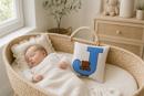 Letter J Teddy Blues