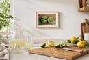 Limes