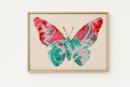 Butterfly Swirls Sorbet