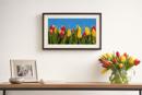 Tulip Banner