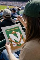 Letter N Baseball