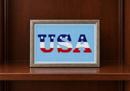 U.S.A.