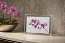 Orchids On White