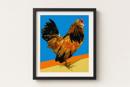 Brilliant Rooster