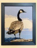 Canada Goose