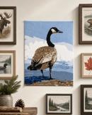 Canada Goose