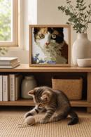 Calico Cat