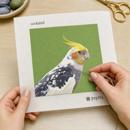 Cockatiel