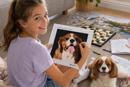 Cavalier King Charles Spaniel 2
